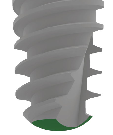 Dental implant showing dual spiral channel threads and domed apex design