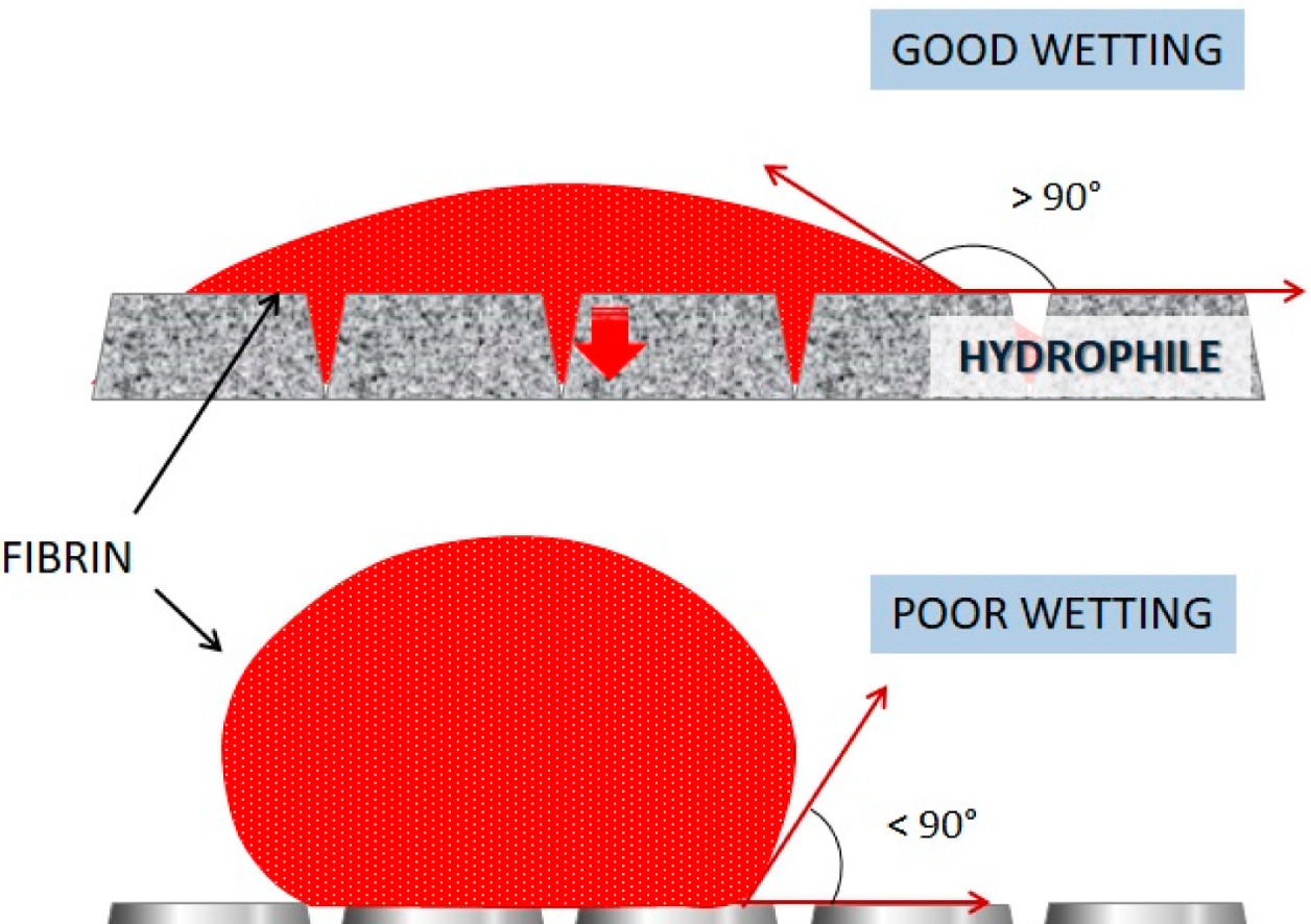 Comparison of hydrophobic versus hydrophilic dental implant surfaces showing liquid absorption