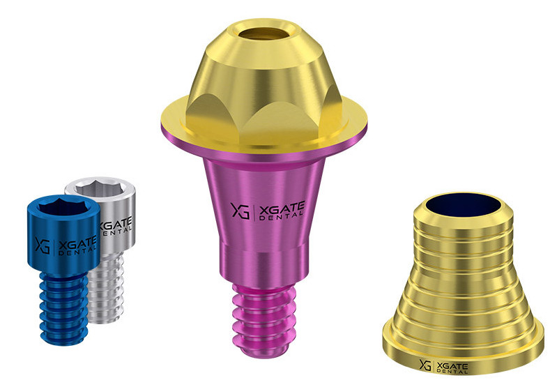D‑type multi‑unit abutment with CAD/CAM short sleeve and retaining screws